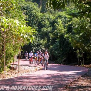 Adventure on the Island!